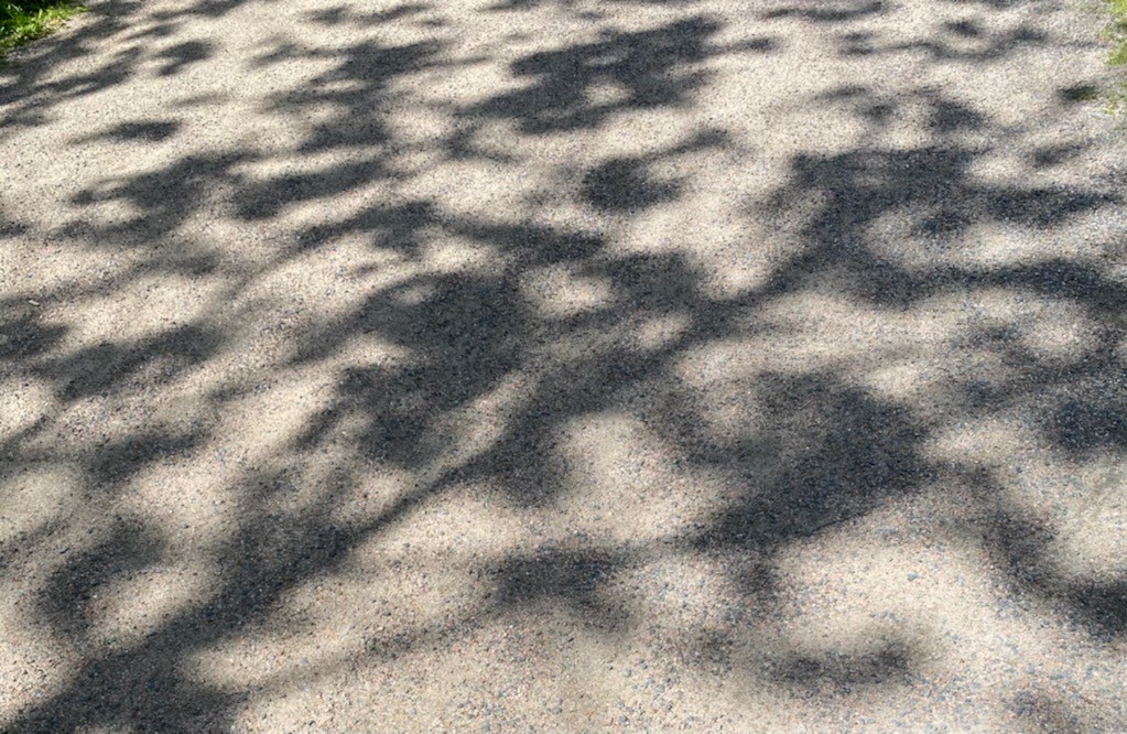 Valoa ja varjoa - pitsiä hiekkatiellä